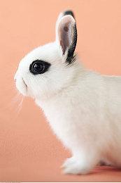 《蝙蝠侠 阿卡姆骑士》发售七周年 Rocksteady发文庆祝